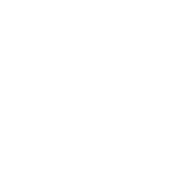 Roon Logo